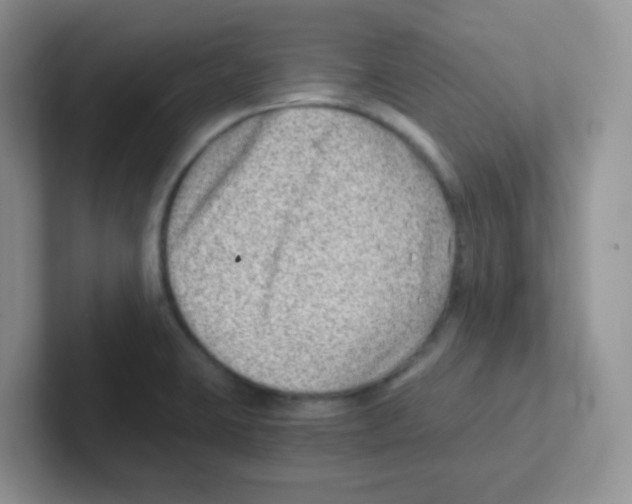 X0000101651423200808071105