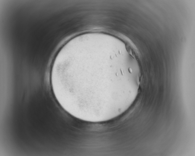 X0000101651424200808071105