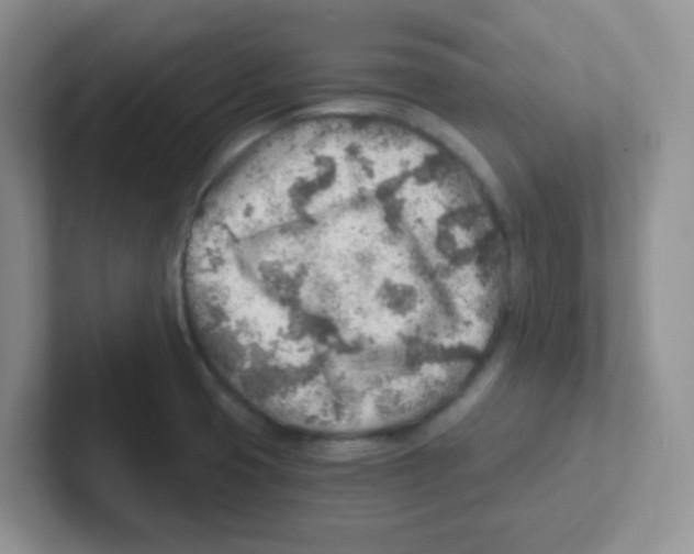 X0000101651425200808071105