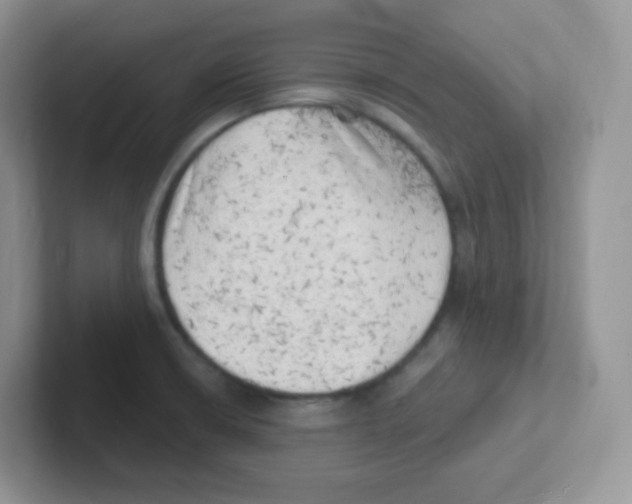 X0000101651426200808071105