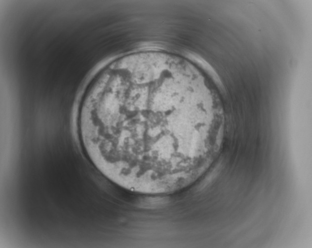 X0000101651427200808071105