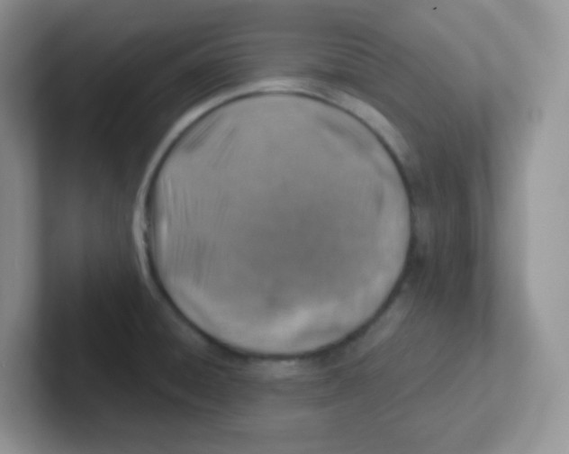 X0000101651428200808071105