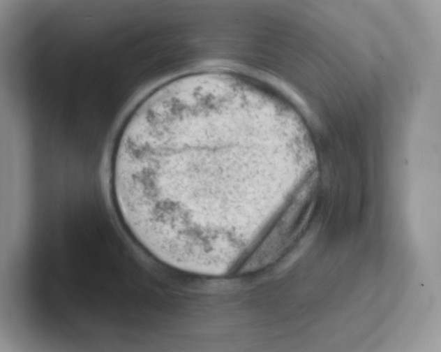 X0000101651430200808071105