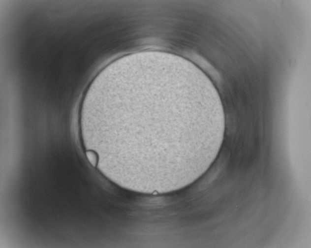 X0000101651431200808071105