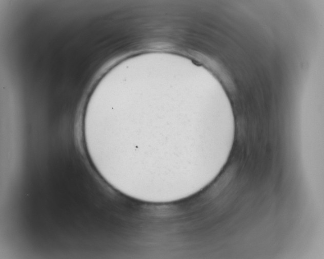 X0000101651432200808071105
