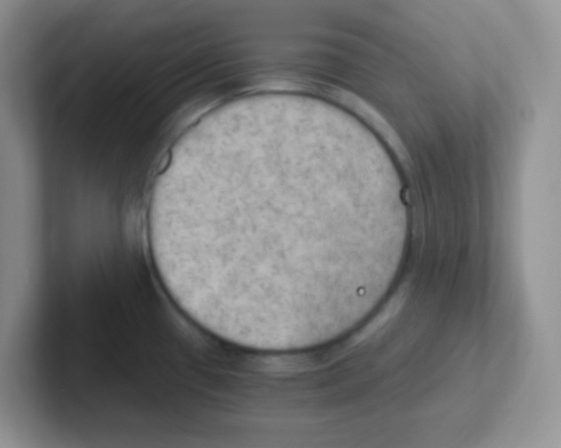 X0000101651433200808071105