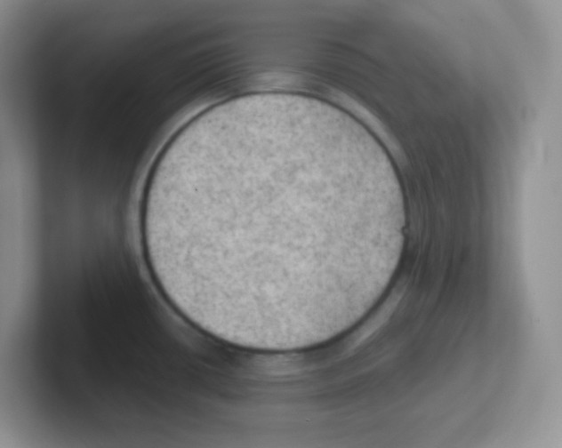 X0000101651434200808071105