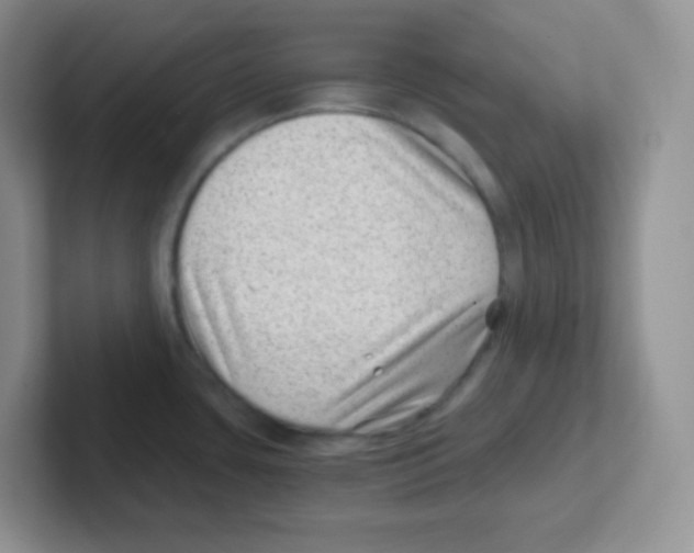 X0000101651435200808071105