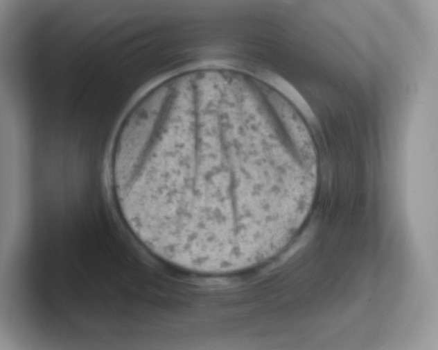 X0000101651436200808071105