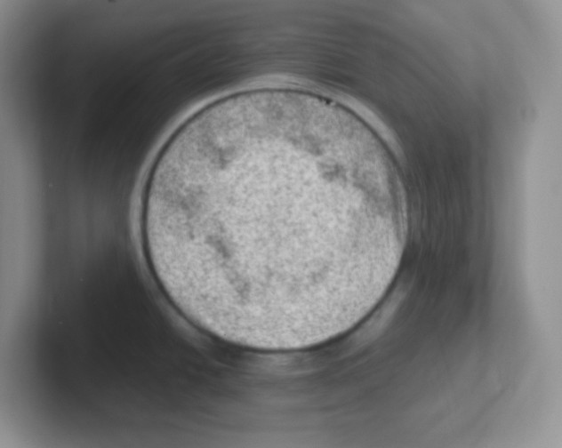 X0000101651438200808071105