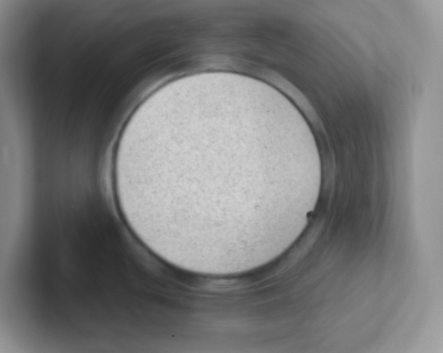X0000101651439200808071105