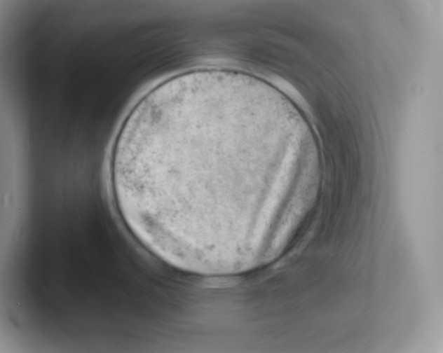 X0000101651440200808071105