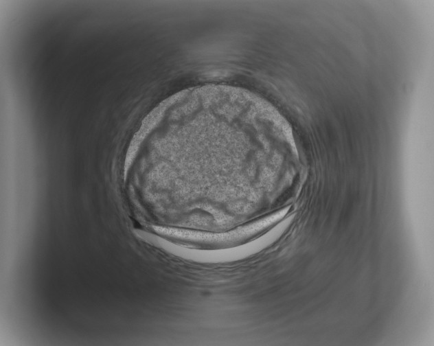 X0000101651441200808071105