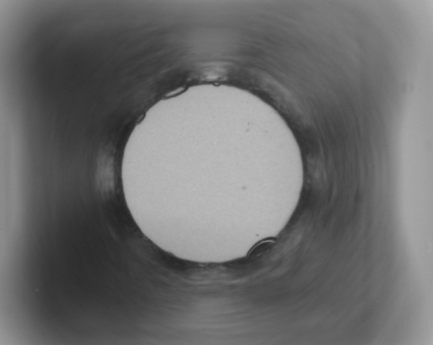 X0000101651442200808071104