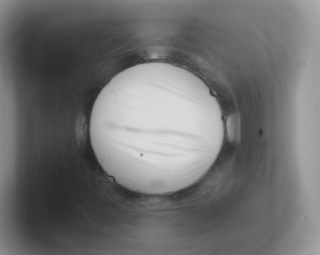 X0000101651443200808071104