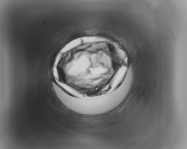 X0000101651444200808071104
