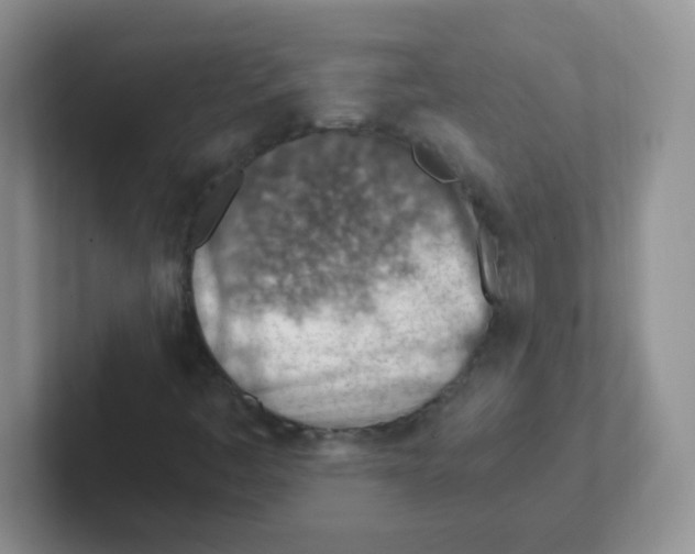 X0000101651445200808071104