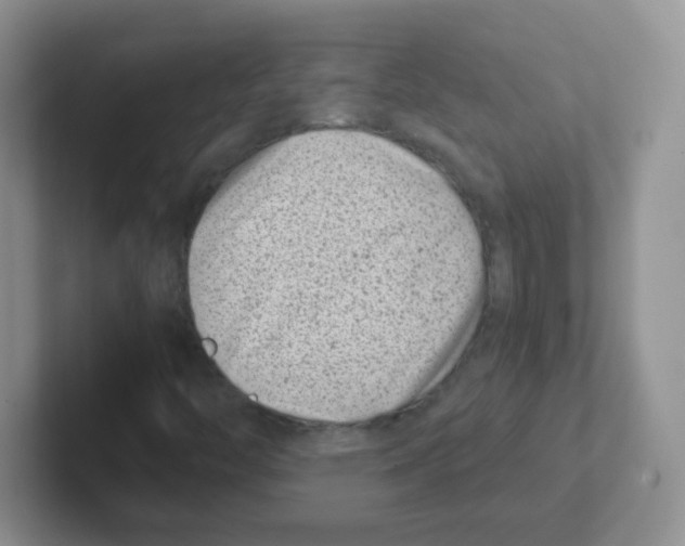 X0000101651446200808071104