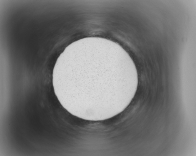 X0000101651447200808071104