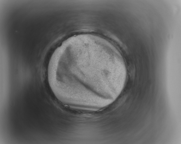 X0000101651448200808071104