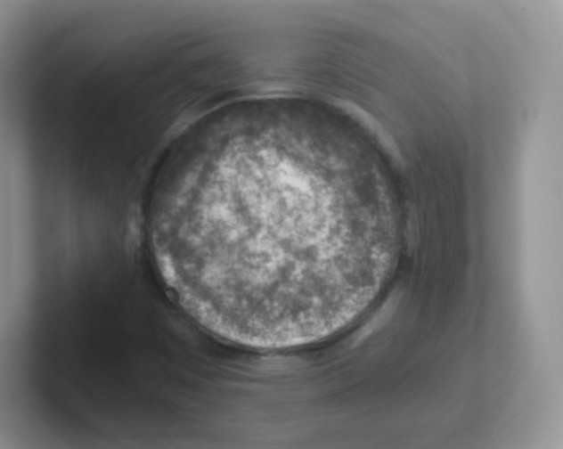 X0000101651449200808071104