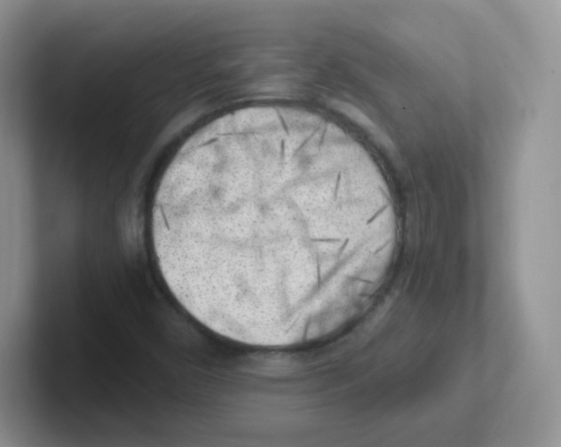 X0000101651450200808071104