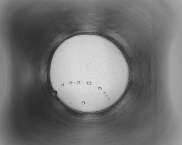 X0000101651451200808071104