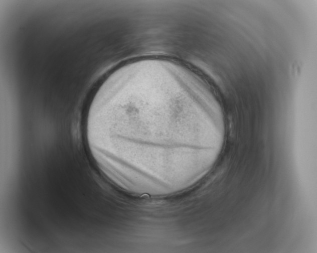 X0000101651452200808071104
