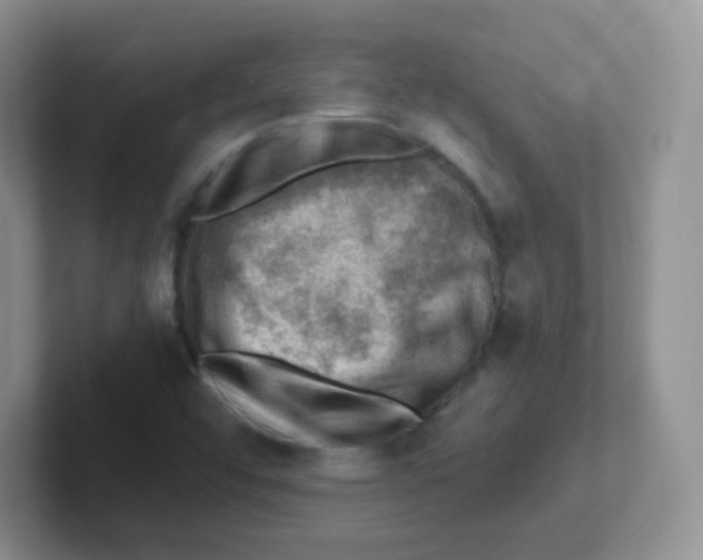 X0000101651456200808071104