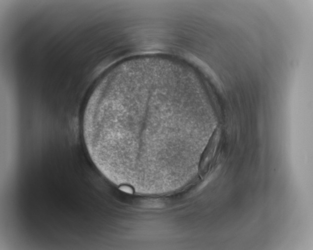 X0000101651457200808071104