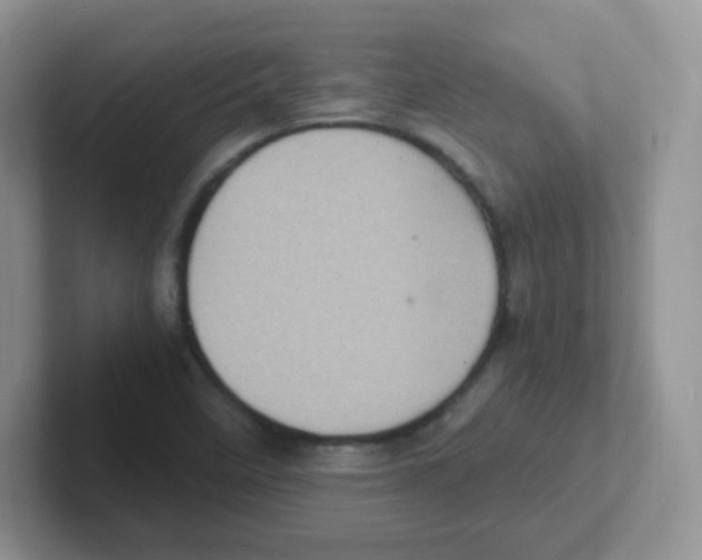 X0000101651458200808071104
