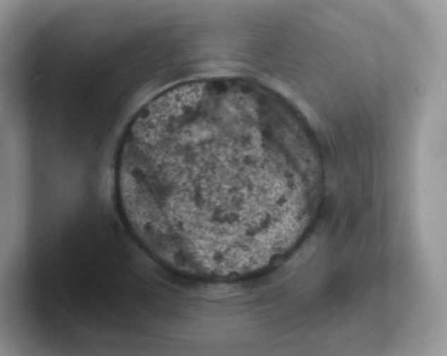 X0000101651459200808071104