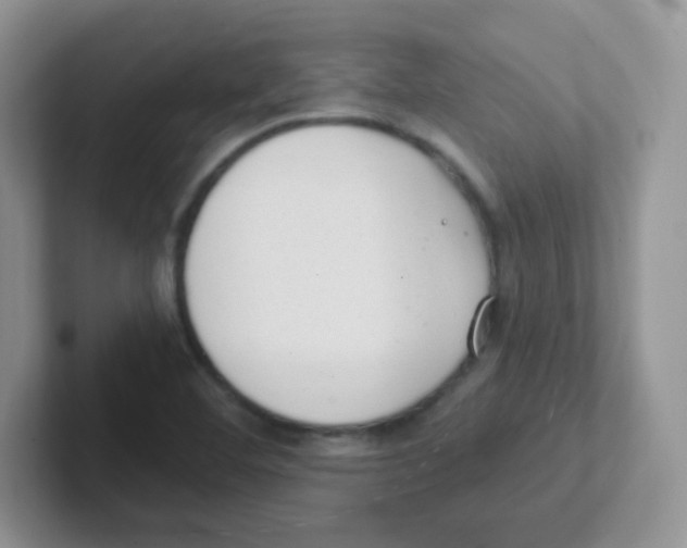 X0000101651460200808071104