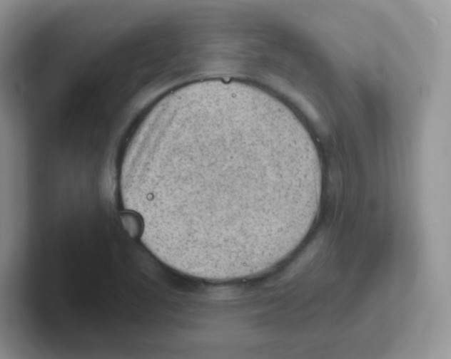 X0000101651461200808071104
