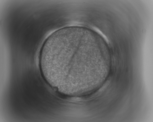 X0000101651463200808071104