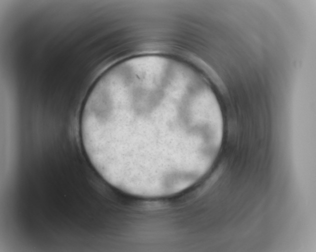 X0000101651465200808071104