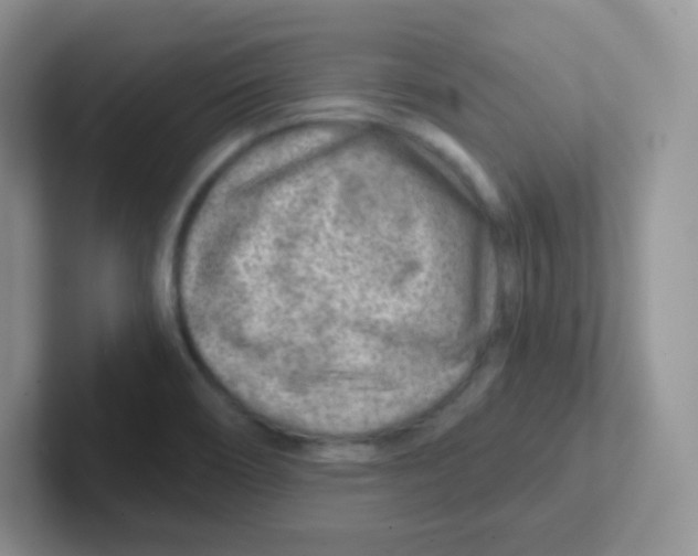 X0000101651466200808071104
