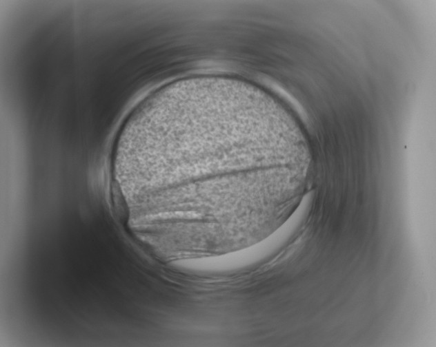 X0000101651467200808071104