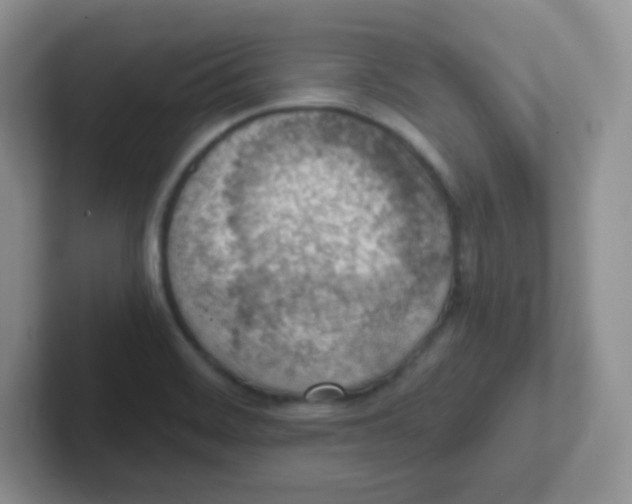 X0000101651468200808071104