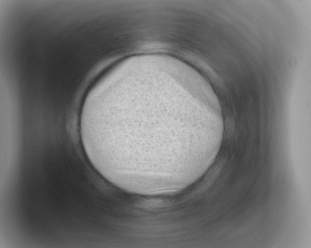 X0000101651470200808071104