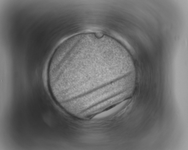 X0000101651471200808071104