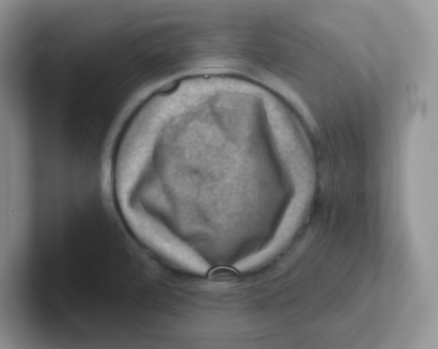 X0000101651472200808071104