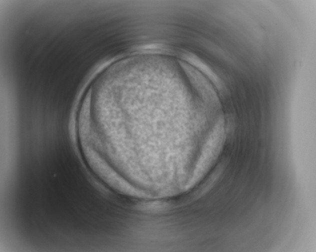 X0000101651474200808071104