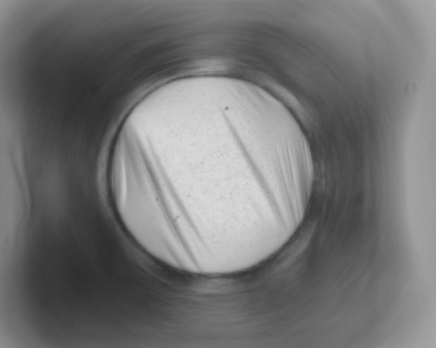 X0000101651475200808071104