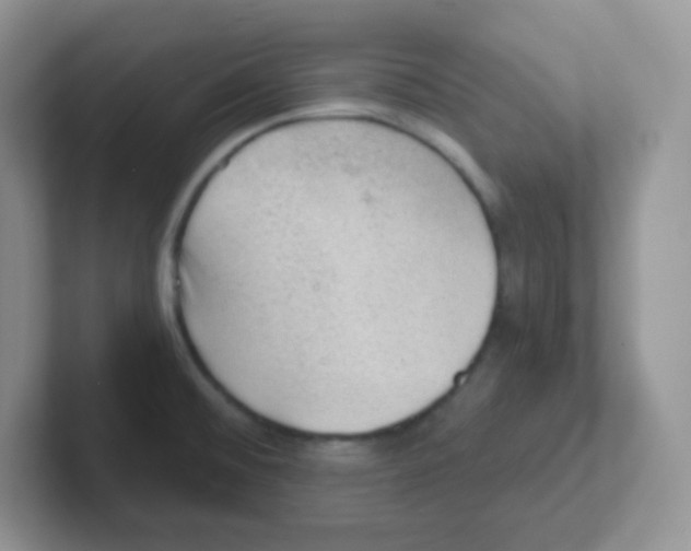 X0000101651476200808071104