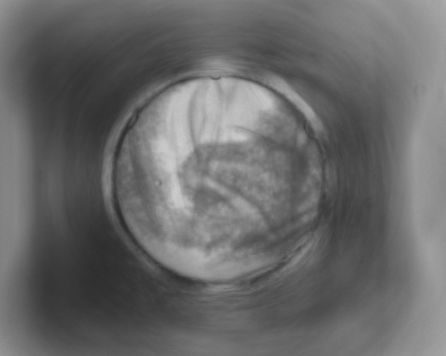 X0000101651477200808071104