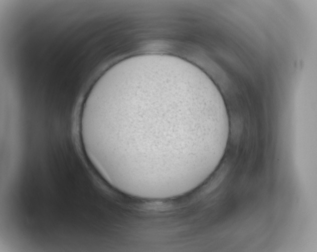 X0000101651478200808071104
