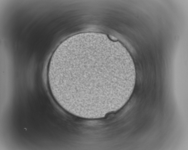X0000101651479200808071104