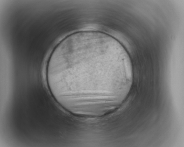 X0000101651480200808071104