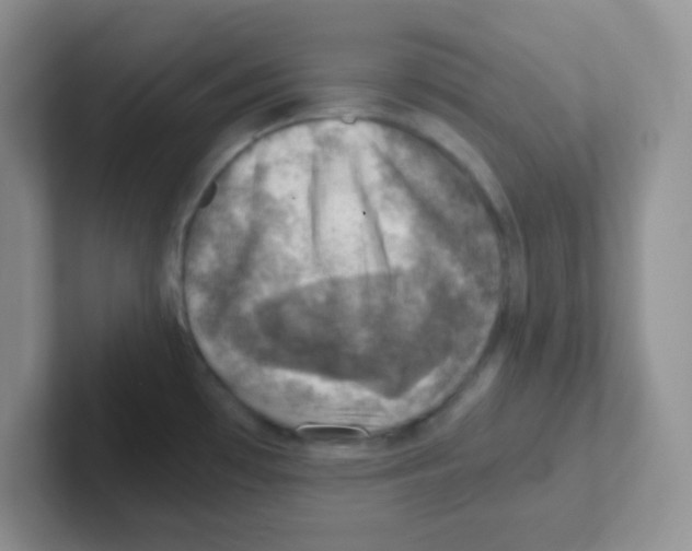 X0000101651481200808071104